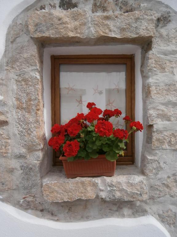 Olbia Domus Inn 3*